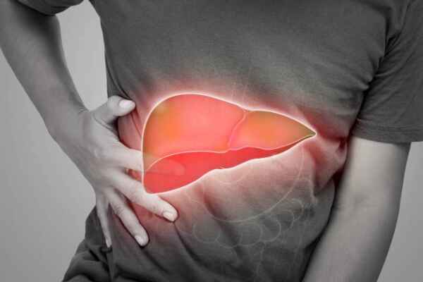 Navigating Liver Disorders: Understanding Symptoms, Types, and Treatment Options